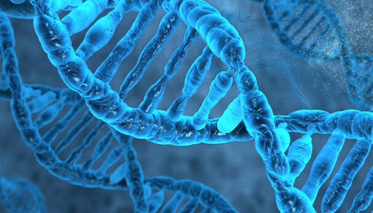 Осем процента от това, което хората смятат за своя ДНК, в действителност е вирусна