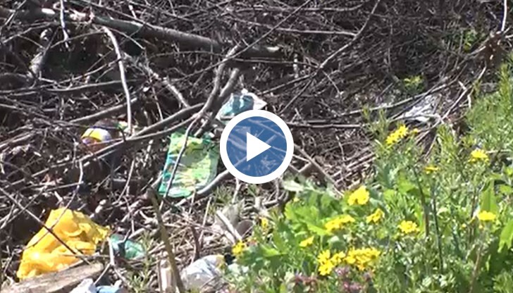 От Национална компания "Железопътна инфраструктура", в чийто сервитут попада обектът, поеха ангажимент да изчистят района до вторник тази седмица