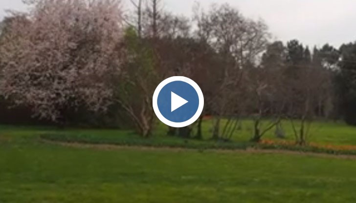 Ботаническа градина Екопарк – Варна