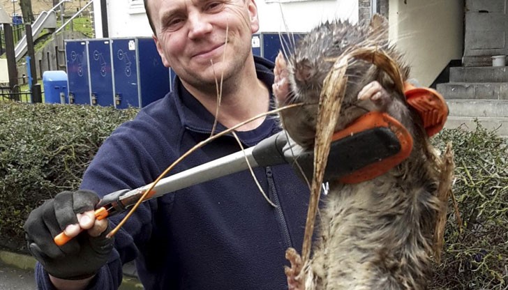 Животното тежало 11 килограма