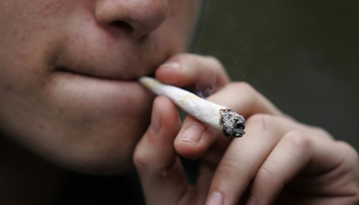 Мащерка, напръскана с бял прах от Китай - това е една от рецептите за направата на чай за пушене Мащерка, напръскана с бял прах от Китай - това е една от рецептите за направата на чай за пушене