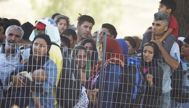 Европа може да приеме към 5 милиона мигранти изобщо, а не за година