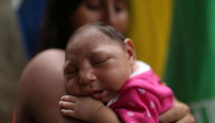 Вирусът Зика заразява избирателно стволовите клетки, формиращи мозъчната кора Вирусът Зика заразява избирателно стволовите клетки, формиращи мозъчната кора