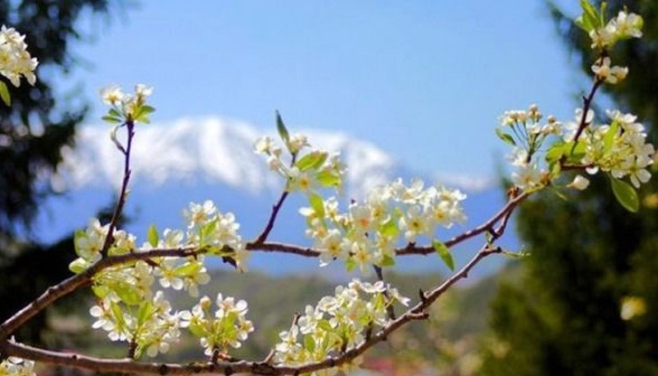 Ще духа слаб, в Дунавската равнина и Източна България до умерен вятър от запад-северозапад