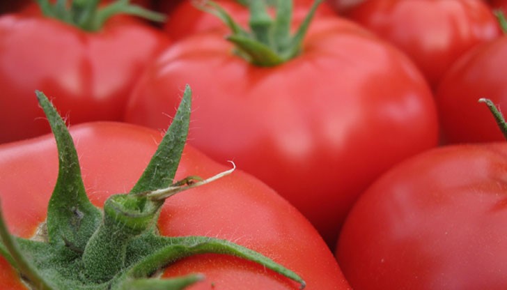 Именно родните домати са най-поскъпналата стока през миналата седмица