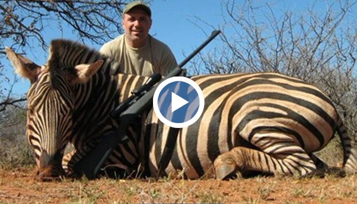 Вълна от възмущение в социалните мрежи предизвикаха снимки, на които Стоичков стои до убити животни след сафари в Африка