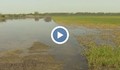 Хиляди декари в Русенско наводнени