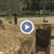 Опасен изкоп с гореща вода застрашава децата в Русе