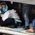 Откриха мигранти в камиона на български шофьор във Франция