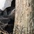 Младеж загина след удар в дърво край Ново село