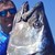 Рибар улови риба тон с рекордни размери