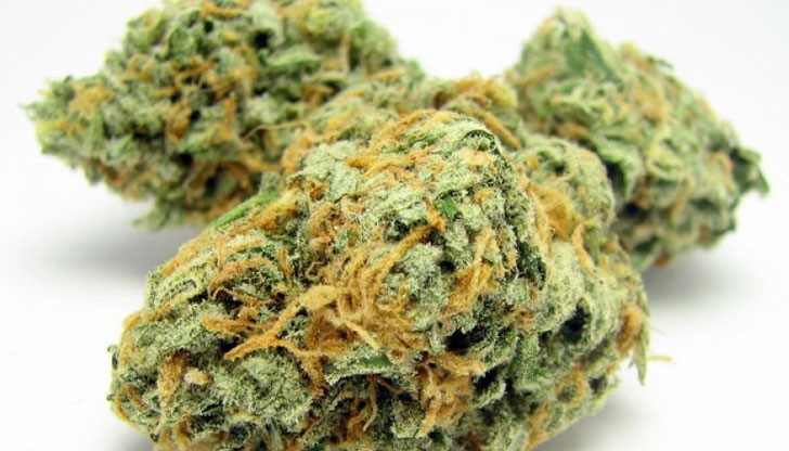 Съобщението дойде на 20 април – денят, в който много пушачи на канабис са обявили за „Ден на тревата“ Съобщението дойде на 20 април – денят, в който много пушачи на канабис са обявили за „Ден на тревата“