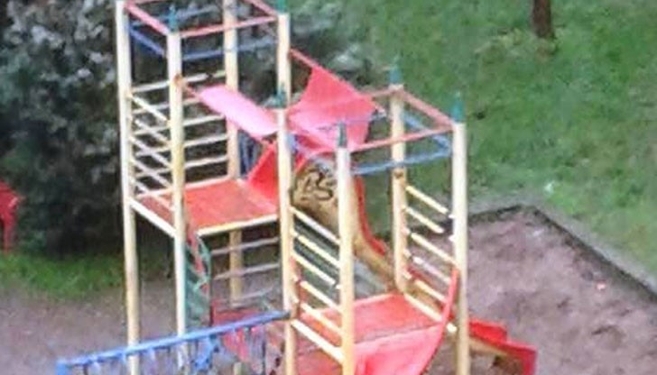 Отворено писмо до Пламен Стоилов и екипа му