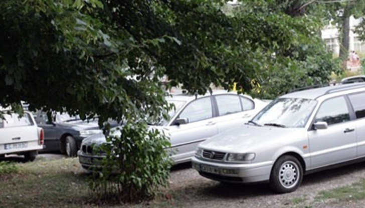 Търговете ще се организират в случаите, когато местата не стигат за всички желаещи в кооперацията Търговете ще се организират в случаите, когато местата не стигат за всички желаещи в кооперацията
