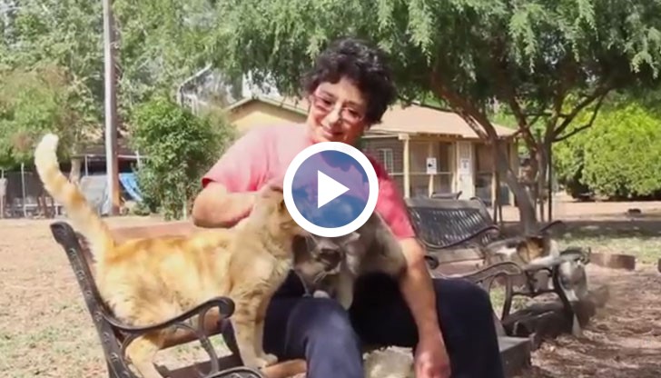 Жената се е изнесла да живее в кемпер