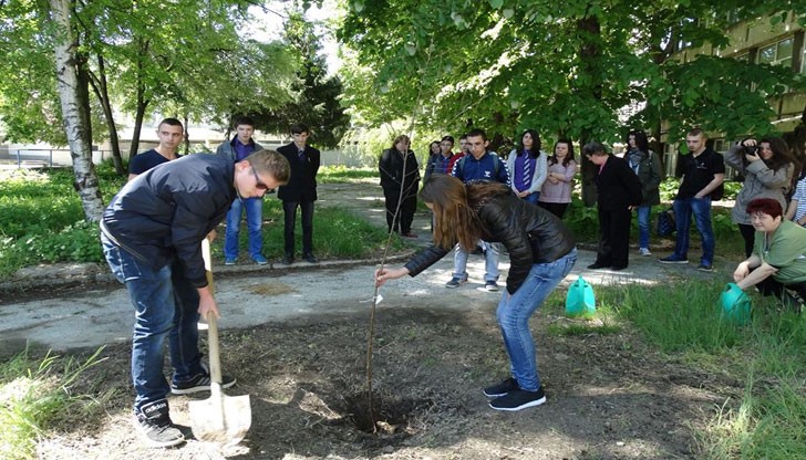 Паркът на строителната гимназия се обогати с брезово дръвче, посадено от ученическия съвет