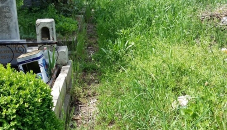 "Видимите резултати" в гробищен парк „Чародейка“ са прекалено видими