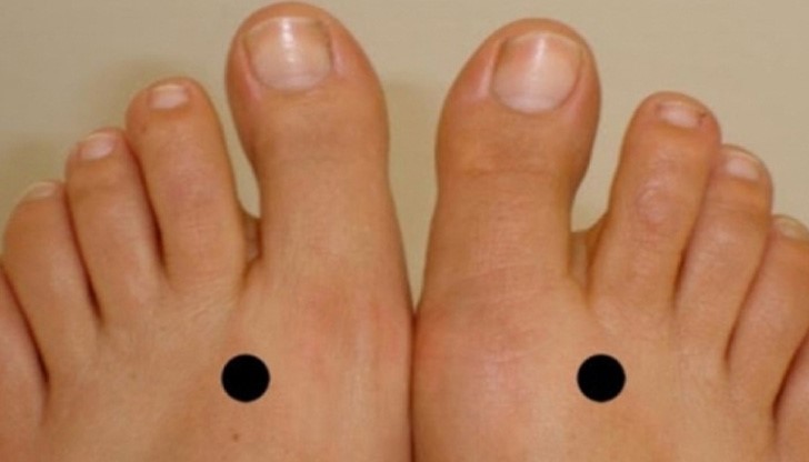 Безценните съвети на Лама Геше Ла ще ви избавят от много страдания