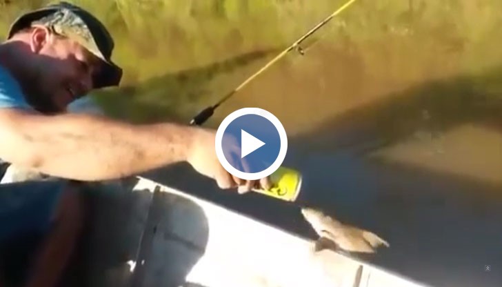 Рибарите избухват в смях, когато животинчето изпива 20 глътки от предложената му бира