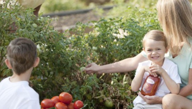 Децата ще учат градинарство от четиригодишна възраст като средство за борба с наднорменото тегло