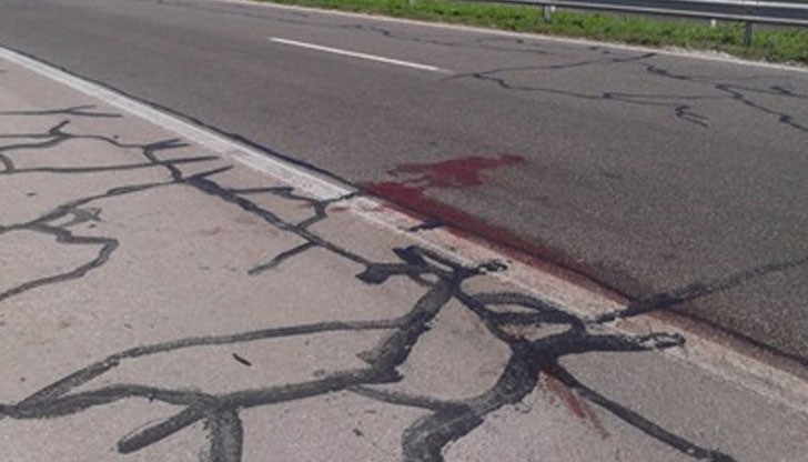 41-годишният пловдивски полицай Николай Треновски бе убит тази сутрин от турски ТИР