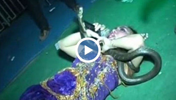 29-годишната Ирма Буле е ухапана от кралска кобра на сцената по време на живо изпълнение
