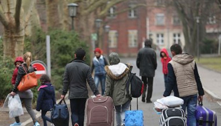 Миналата година в Норвегия са подадени почти 31 000 молби за убежище