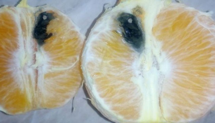 Портокали с отрова се появиха на пазара