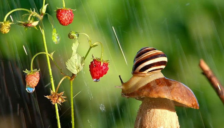 Усмихвайте се напук на времето! Усмихвайте се напук на времето!