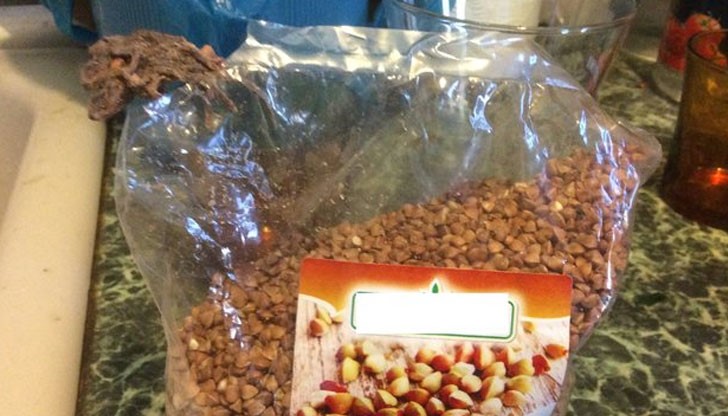 Две умрели миши мумии и смрад в пакет елда