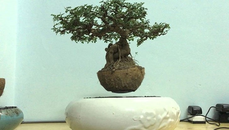 Създателите им ги наричат “енергийна база” и “малка звезда”