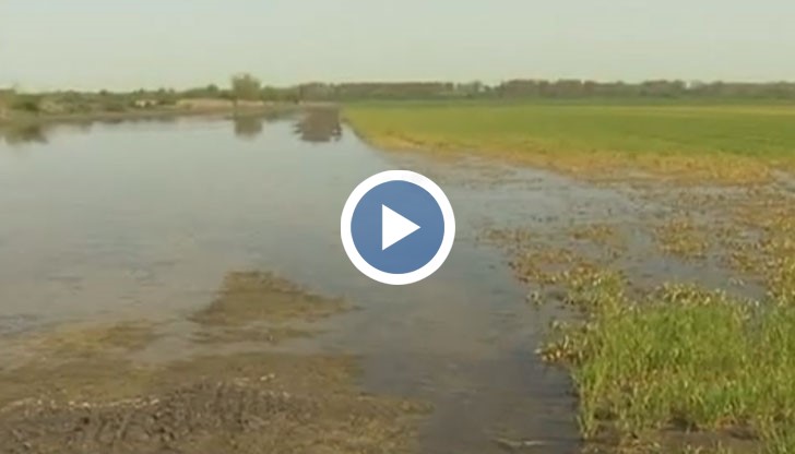 Всяка пролет хиляди декари земеделска земя в Русенския регион остават под вода