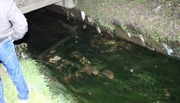 Трагедията се е разиграла около 18 часа в събота, потвърдиха от полицията Трагедията се е разиграла около 18 часа в събота, потвърдиха от полицията