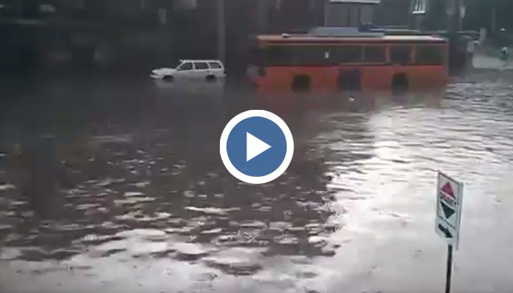 Русенец плува по бул. "Христо Ботев" - 2013 година