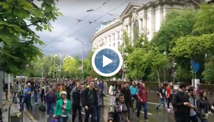 Вчера, в напоителен дъжд, маршируваха около 600 души в защита на конопа