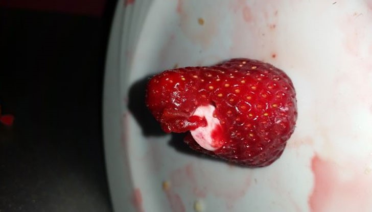 До кога ще ни тровят легално?!