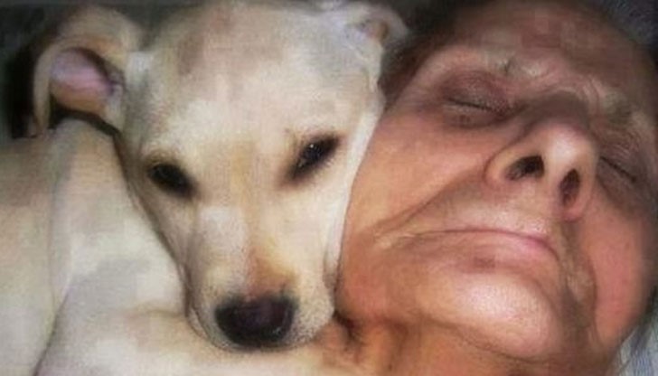 Какво усещат хората, когато са с единия крак в отвъдното Какво усещат хората, когато са с единия крак в отвъдното