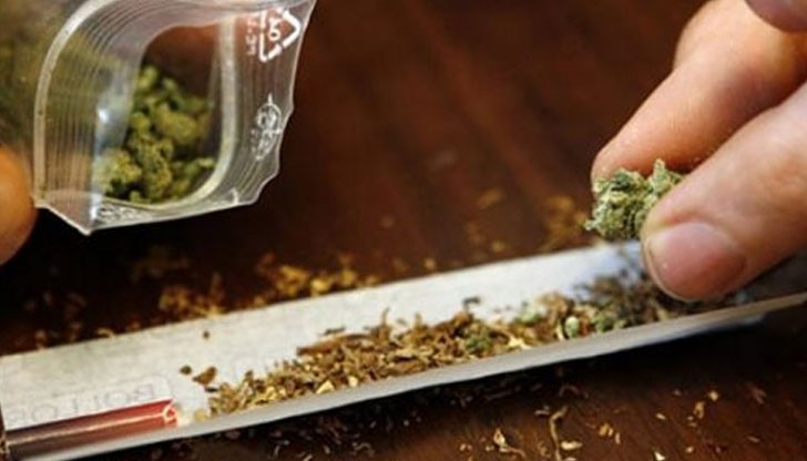 Половин милион българи употребяват канабис, от които 50 000 са деца Половин милион българи употребяват канабис, от които 50 000 са деца