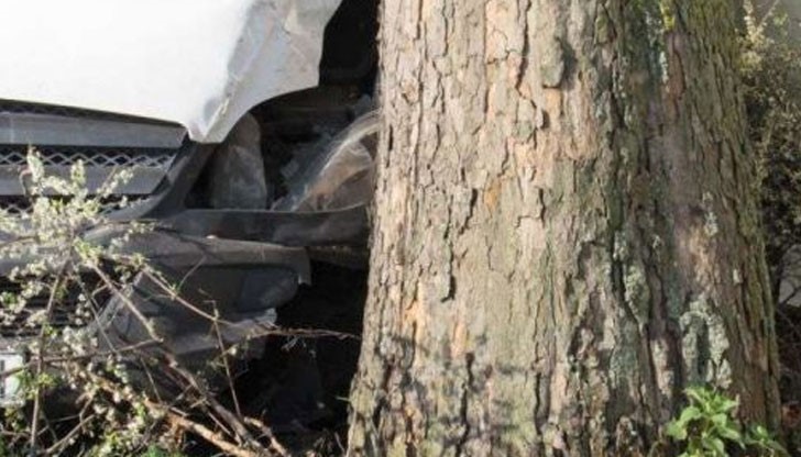 Лек автомобил „Мицубиши” излязъл от пътя и се ударил в едно от дърветата