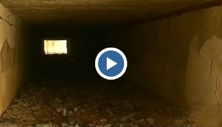 Хората се замислят как точно да рискуват живота си – като пресекат пътното платно, или като използват подлеза