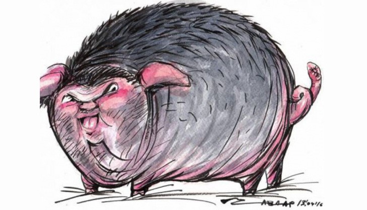 Премахването на карикатурите на Николов, които често осмиват премиера Бойко Борисов, се превърна в широко обсъждан скандал