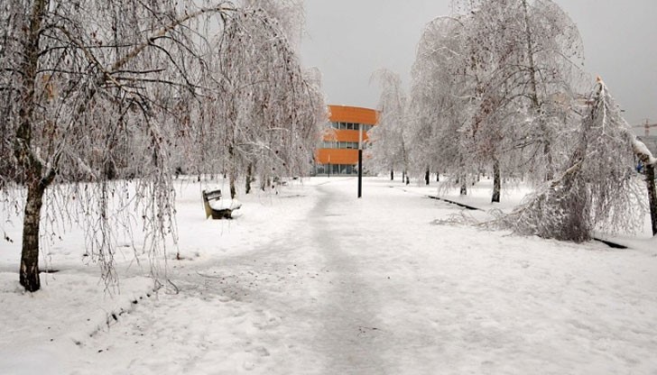 Десетки хиляди семейства останаха без ток в Словения заради обилния снеговалеж
