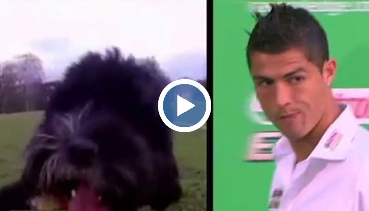 Куче футболист показва завидни умения във футбола