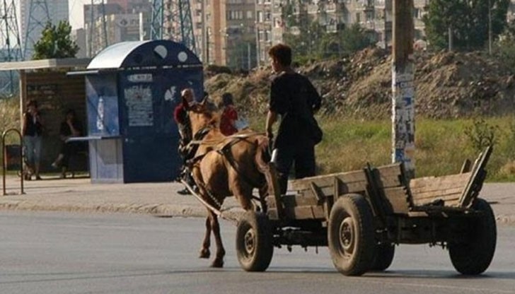 Според разпоредбите, всички каруци трябва да разполагат с номера, светлоотразители и специални чували зад теглещото животно?!