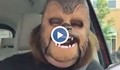 Жена с маска на Чубака е най-гледаното видео във "Фейсбук"