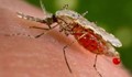 Комарите ни носят смъртоносна нилска треска