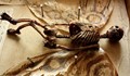 Откриха страховити скелети в мазето на стара къща