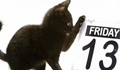 Петък 13-ти е, но не се страхувайте от това!