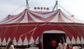 Поради големия интерес цирк "София" остава в Русе