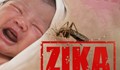 Вирусът Зика това лято по Черноморието?
